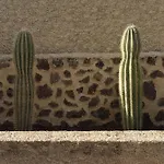 Canaryislandshost I Esencia Appartement
