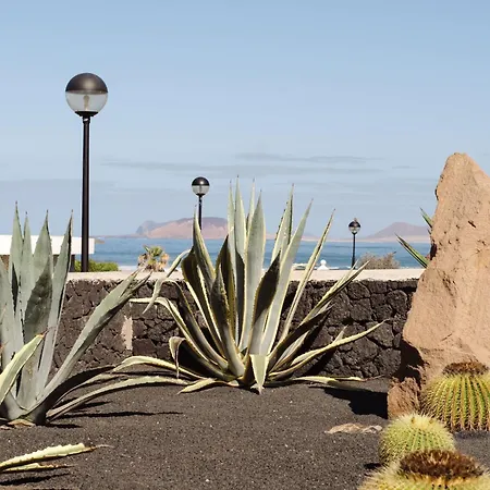 Canaryislandshost I Esencia *